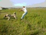 kangal türk kangallari
