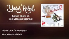 Ceyhun Çelik, Özcan Şenyaylar - What a Wonderful World