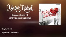 Ceyhun Çelik - Ağlamakla İnlemekle