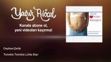Twinkle twinkle little star Videoları Sayfa 2 Twinkle twinkle little star Videoları Sayfa 2