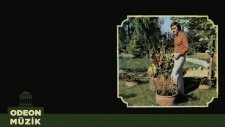 Kutlu Payaslı - Bir Sevdaydı Unutuldu / Aşkına Bir Hava Su Kadar Muhtacım (45'lik)