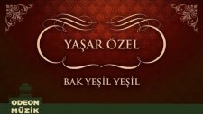 Yaşar Özel - Bak Yeşil Yeşil (45'lik)