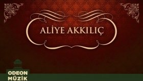 Aliye Akkılıç - Bir Çift Turna