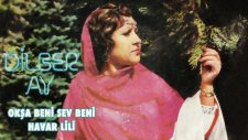 Dilber Ay - Dokunma Keyfine Yalan Dünyanın - Düşenin Dostu Yoğimiş