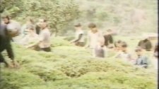 Erol Evgin - Akbank Reklam Şarkısı (1980'ler)
