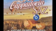 Ercan Erol - Hastane Önünde İncir Ağacı