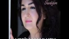 Neriman Ulusu - Siler Atarım