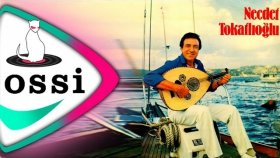 Necdet Tokatlıoğlu - Eski Dostlar Necdet Tokatlıoğlu - Eski Dostlar