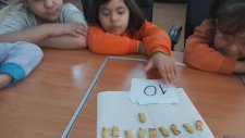 Özel Eğitim Matematik Sayı Öğretimi