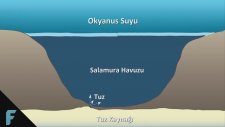 Dünyanın En İlginç 5 Sıvı Oluşumu