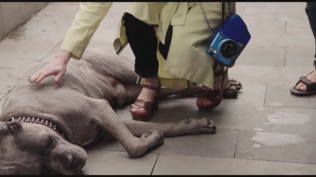 La Caméra De Claire (2017) Fragman