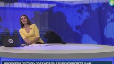 Rusya'da Canlı Yayına Dalıp Sunucuyu Korkutan Köpek