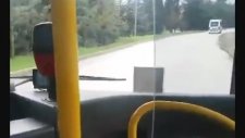 Facebookta takılan Burulaş Belediye Otobüs Şoförü - Bursa
