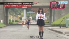 Japonların Etek Havalandırma Yarışması