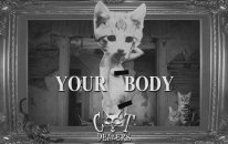 Cat Dealers Your Body