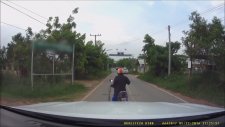 Yılanla Kafayı Bozmuş Motorcu
