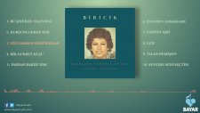 Biricik - Bizi Sarhoş Görüyorlar