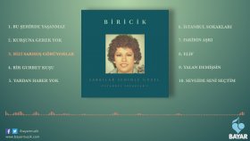 Biricik - Bizi Sarhoş Görüyorlar Biricik - Bizi Sarhoş Görüyorlar