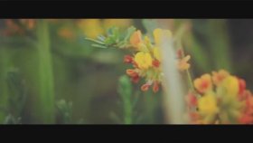 Miley Cyrus - Remember Ft. Chainsmokers Miley Cyrus - Remember Ft. Chainsmokers