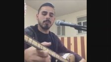 Mehmet Ceylan - Mısırlar Salkım Saçak & Kiraz Dalı