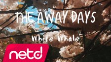 The Away Days - White Whale