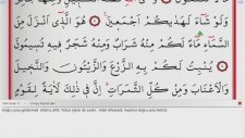 Saad Al Ghamidi - 16 - Nahl Suresi ve Meali (Ok Takipli)