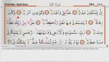 Saad Al Ghamidi - 78 - Nebe (Amme) Suresi ve Meali (Ok Takipli)