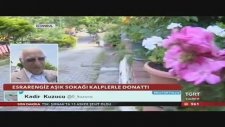 Esrarengiz Aşığın Sokağı Kalplerle Donatması