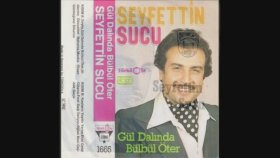 Seyfettin Sucu - Sarı Kız Seyfettin Sucu - Sarı Kız