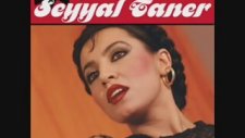 Seyyal Taner - Şiirimin Dili