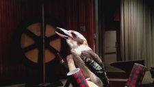 Kookaburra Kuşunun Gülmesi