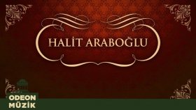 Halit Araboğlu - Rüzgar Mı Attı Seni Halit Araboğlu - Rüzgar Mı Attı Seni