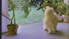 80'ler Amerikan Televizyon Reklamları