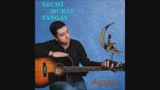 Necmi Murat Tangay - Acı İmbat