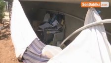 Uşak'ta 17 Kedi Parçalanmış Halde Bulundu