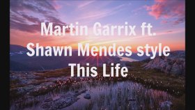 Martin Garrix - Ft. Shawn Mendes Style - This Life Martin Garrix - Ft. Shawn Mendes Style - This Life