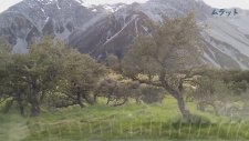 Yeni Zelanda Mount Cook National Park Gezim