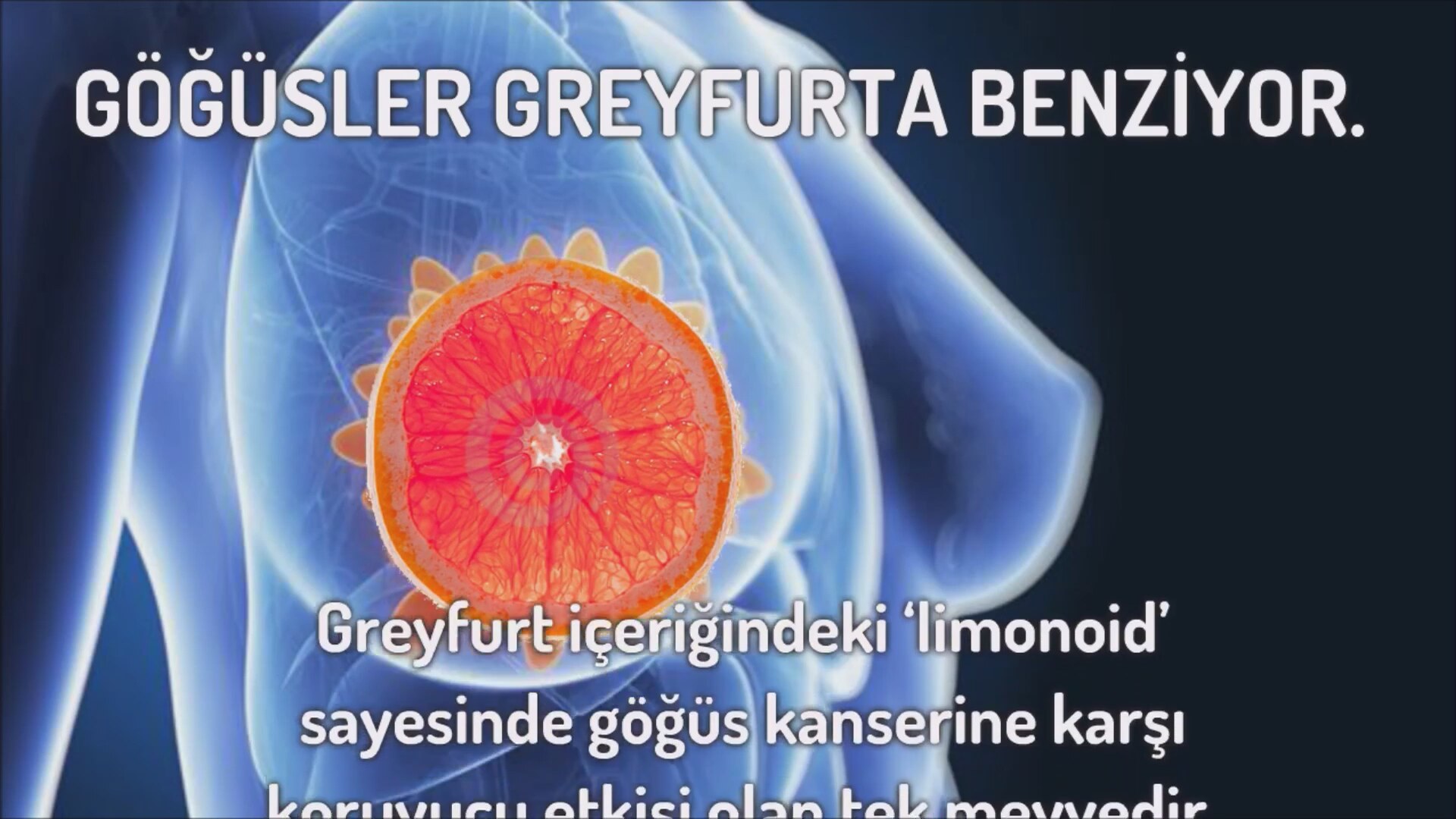 Benzediği organa iyi gelen besinler Benzediği organa iyi gelen besinler