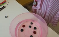Şönille Kapak Yakalama Oyunu