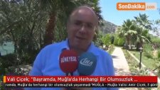 Vali Çiçek;