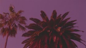 Calvin Harris - Skrt On Me Calvin Harris - Skrt On Me