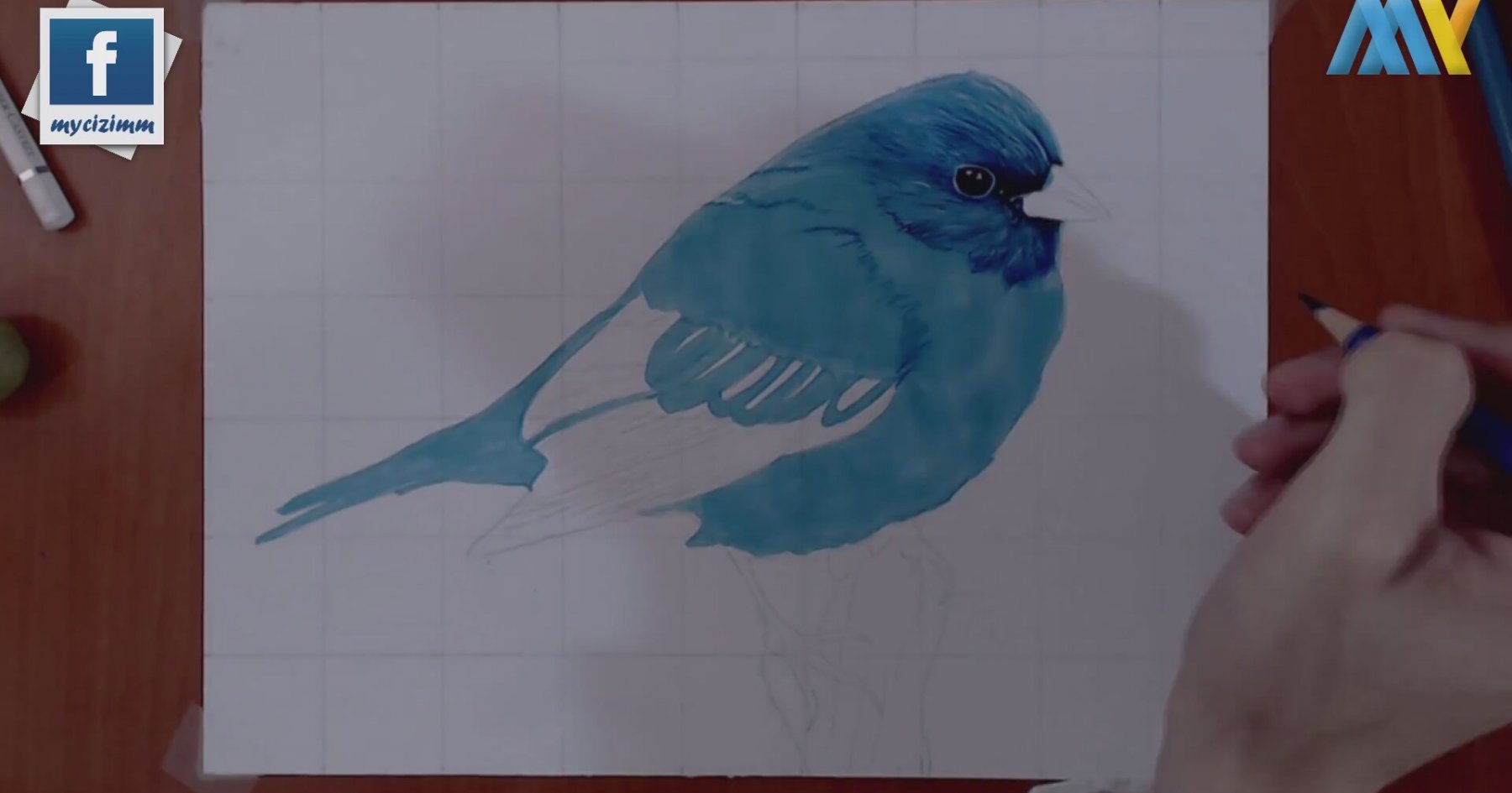 Gerçekçi Kuş çizimi Realistic Bird Drawing İzlesene Gerçekçi Kuş çizimi Realistic Bird Drawing İzlesene