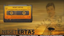 Neşet Ertaş - Küstürdüm Gönülü Güldüremedim