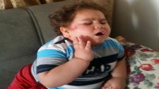 Çitos Efe’nin Nazara Gelmesi!