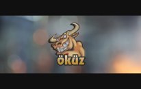 Öküz Ankara