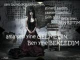 Ver Elini