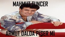 Mahmut Tuncer - Armut Dalda Pişer mi