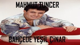 Mahmut Tuncer - Bahçede Yeşil Çınar