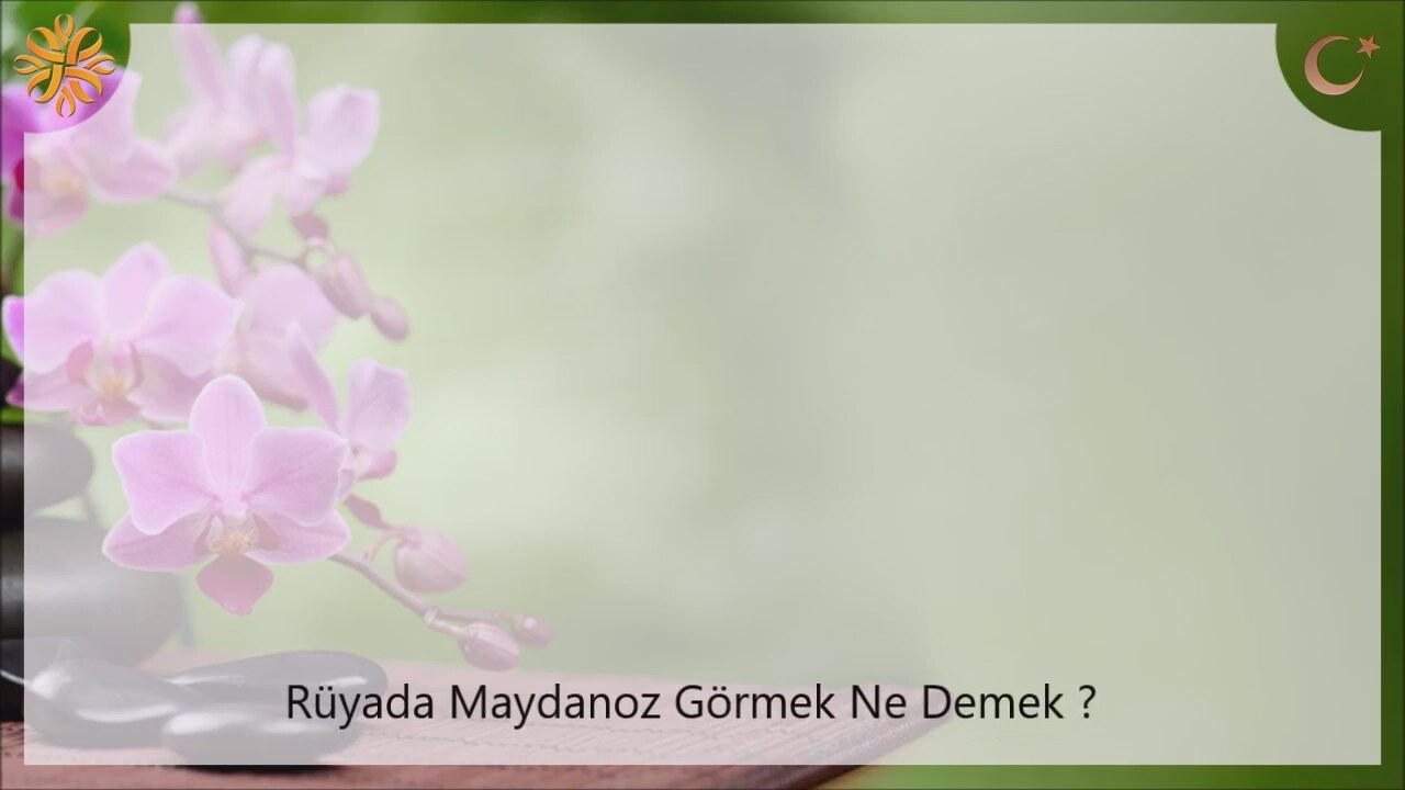 Rüyada Pişik Görmek Ne Anlama Gelir Ne Demektir Rüyada Pişik Görmek Ne Anlama Gelir Ne Demektir