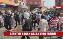Türkiye'nin En Belalı 10 Şehri